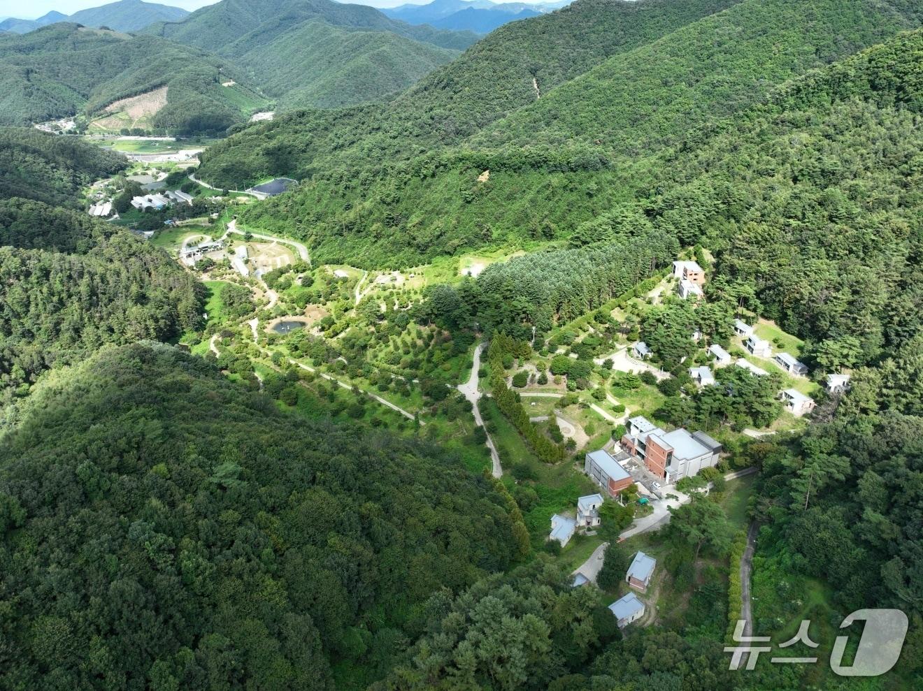 본문 이미지 - 청주시 미원별빛자연휴양림. &#40;시 제공.&#41;