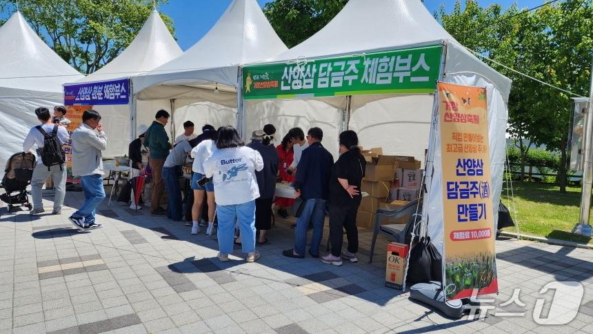 본문 이미지 - 거창산양삼축제 장면(거창군 제공. 재판매 및 DB금지).