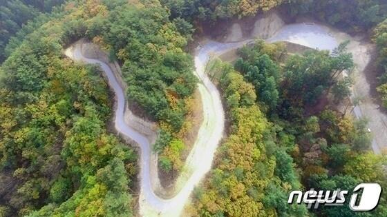 본문 이미지 - 강원 홍천군 임도 자료 사진. (북부산림청 제공.재판매 및 DB금지)/뉴스1
