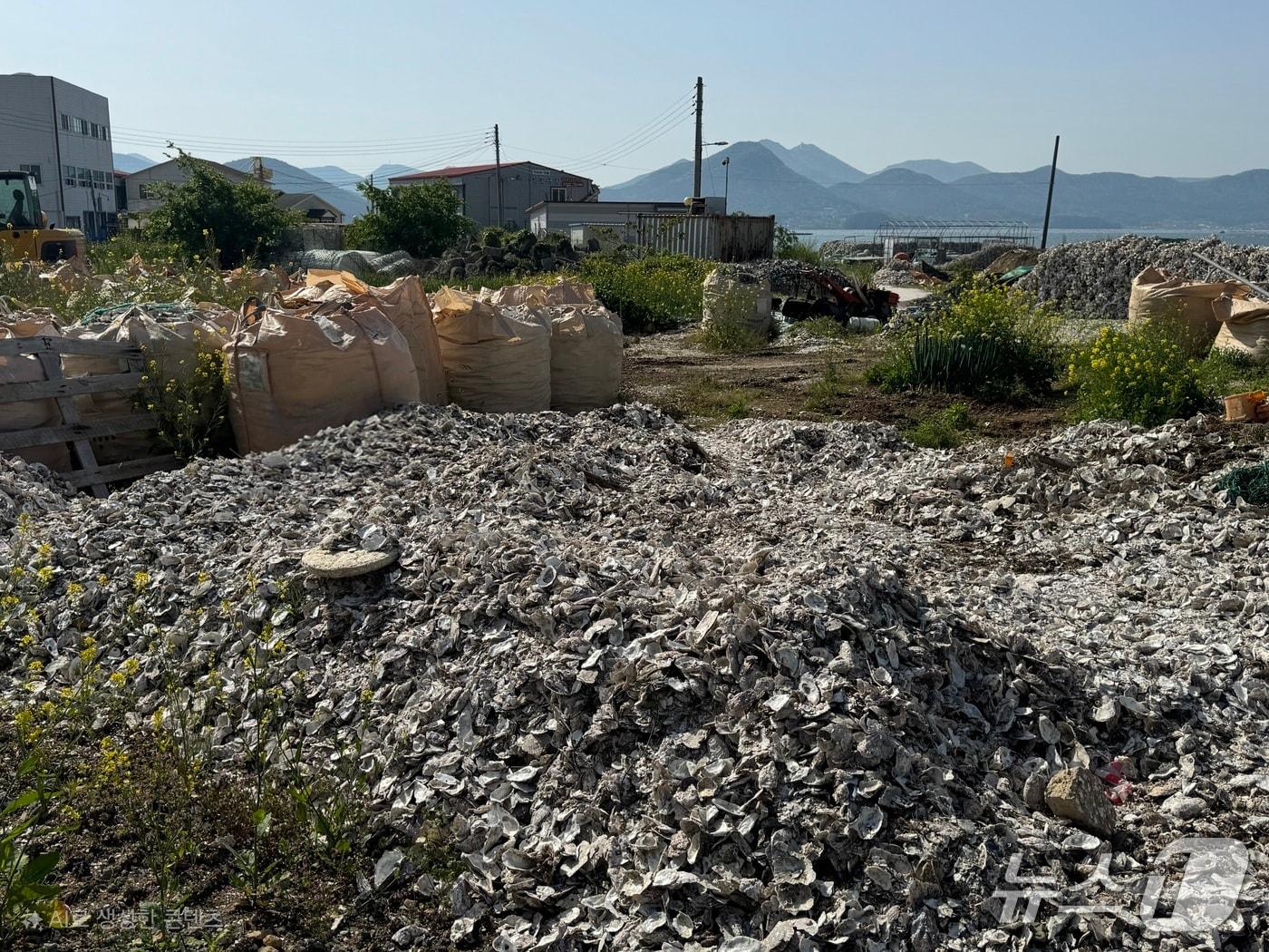 본문 이미지 -  버려진 굴껍질(한국화학연구원 제공) /뉴스1