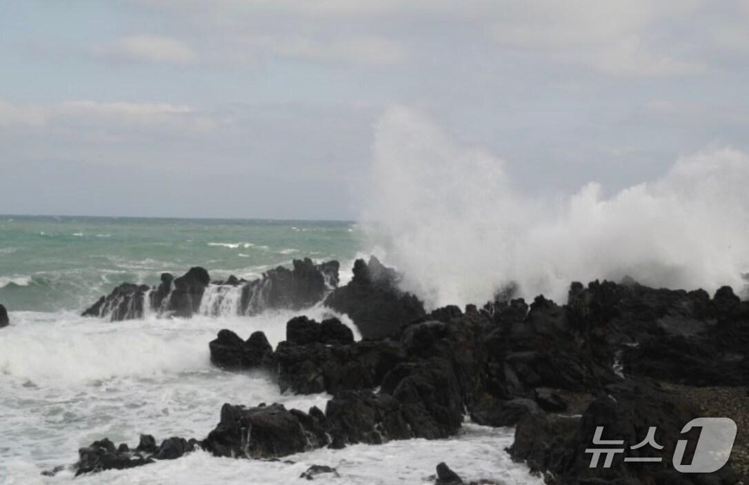 본문 이미지 - 너울성 파도 자료사진&#40;울산해양경찰서 제공. 재판매 및 DB 금지&#41;/뉴스1