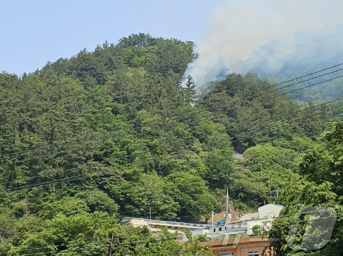 본문 이미지 - 1일 오전 8시 52분쯤 경북 울릉군 서면 남양리 야산에서 산불이 발생했다.(산림청 제공. 재판매 및 DB금지) 2025.6.1/뉴스1 ⓒ News1 김종엽 기자