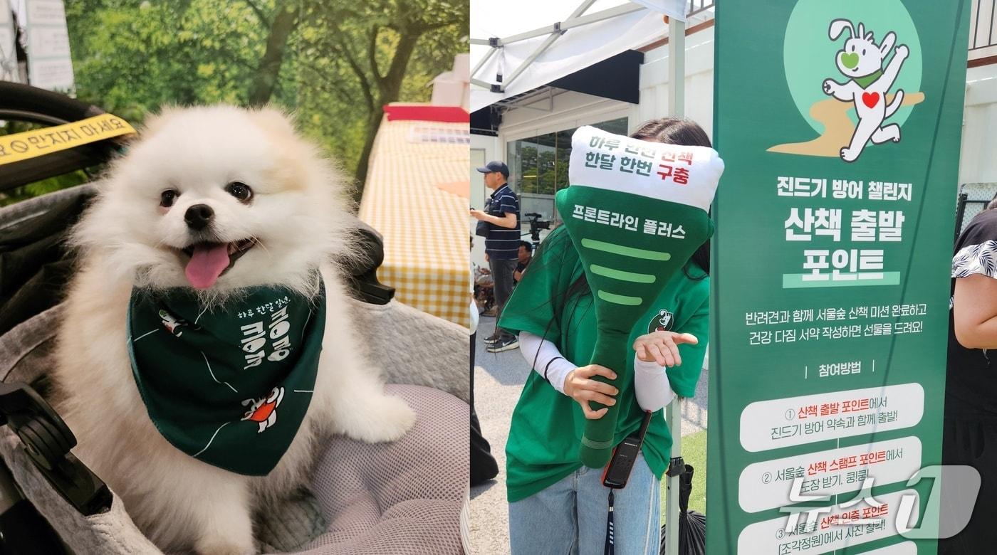 1일 한국베링거인겔하임은 서울술 언더스탠드에비뉴에서 &#39;킁킁쿵쿵 캠페인 시즌2&#39;를 개최했다. ⓒ 뉴스1