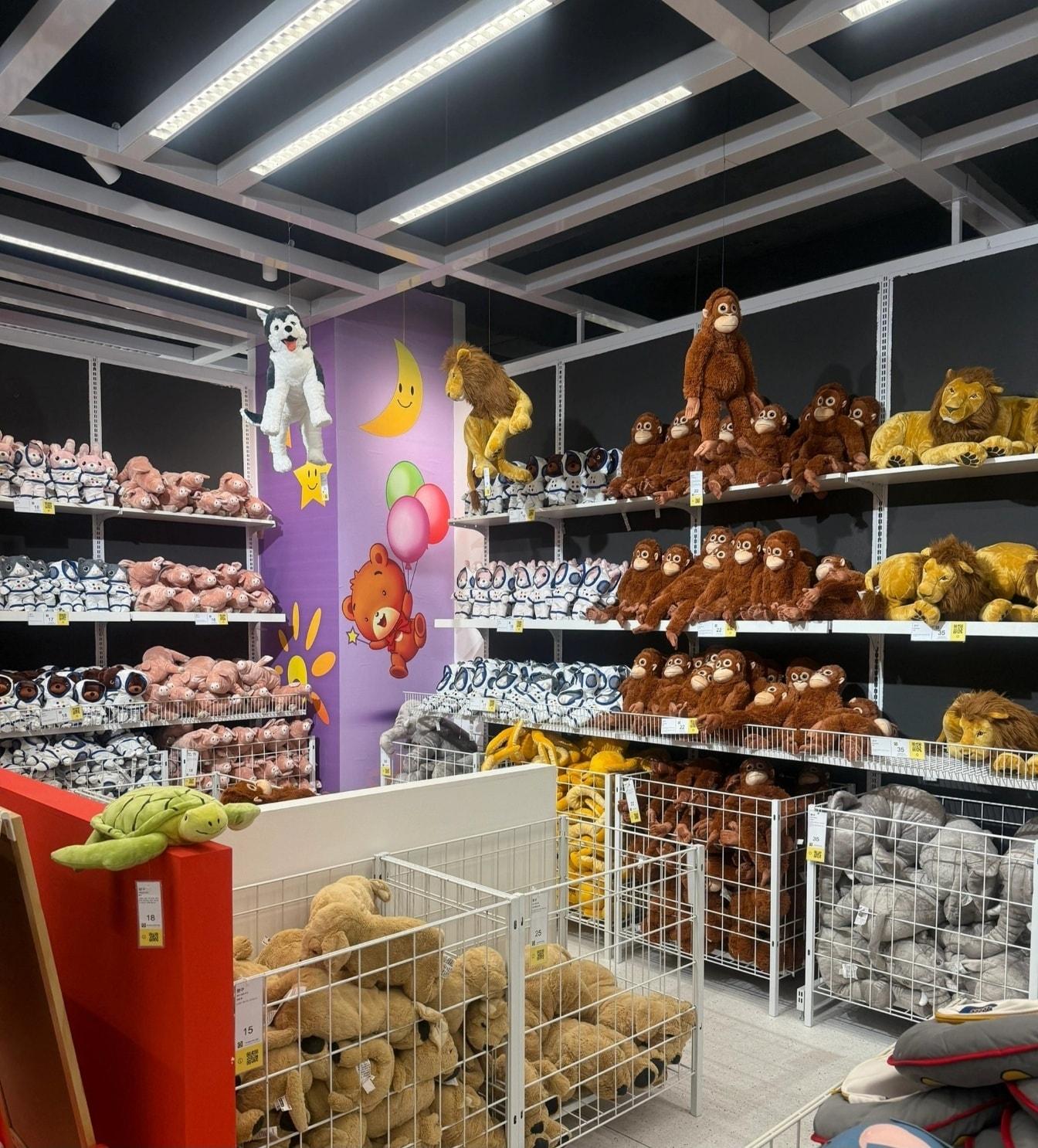 본문 이미지 - 2일 한 중국인이 '이케아' 매장에서 판매할 법한 물건들을 북한에서 촬영했다며 자신의 엑스(X·옛 트위터) 계정에 사진을 공개했다.(X 갈무리)