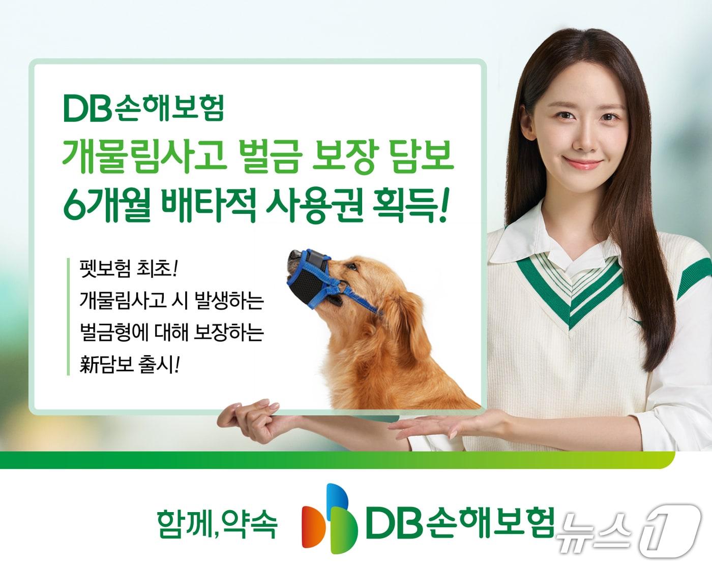 본문 이미지 - DB손해보험이 지난 4월 22일 출시한 '개물림사고 벌금 보장'에 대해 6개월의 배타적 사용권을 획득했다고 10일 밝혔다./사진제공=DB손해보험