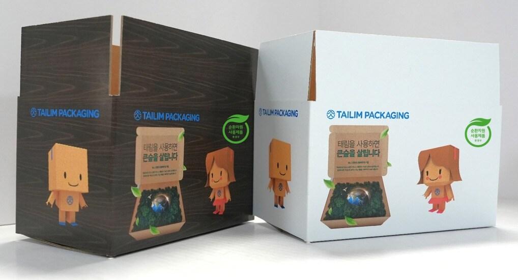 본문 이미지 - 테코박스 표면에 캐릭터&#40;태리미, 원다니&#41; 인쇄 사진. &#40;글로벌세아그룹 제공&#41;