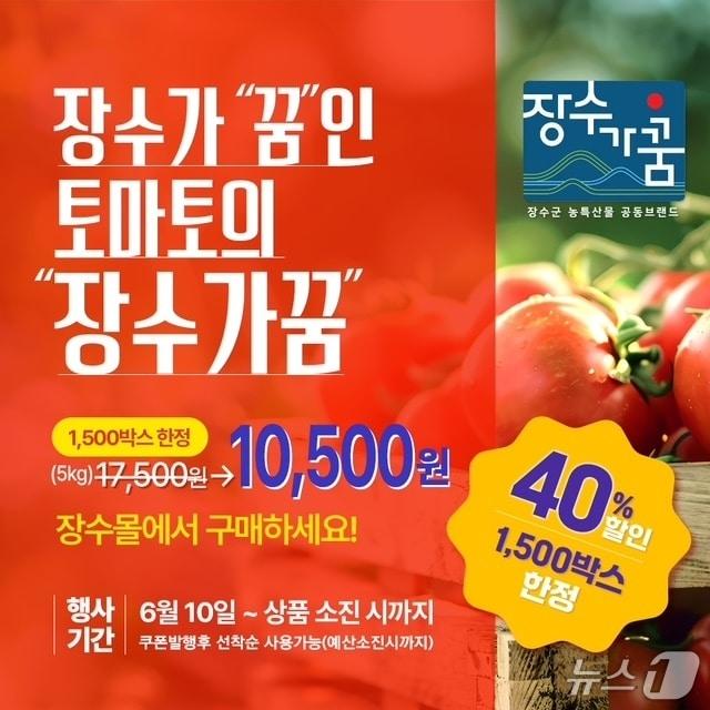 본문 이미지 - 장수군은 '장수몰'에서 고품질 장수 토마토를 40% 할인된 가격에 판매한다고 10일 밝혔다.(장수군 제공. 재판매 및 DB금지)2025.6.10/뉴스1
