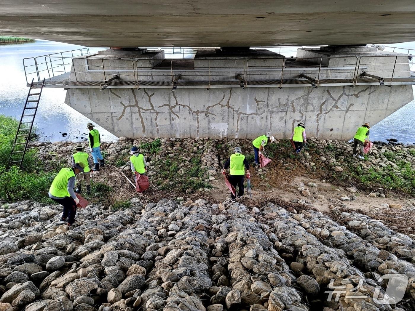 본문 이미지 - 양양 남대천 환경 정화활동.&#40;양양군 제공, 재판매 및 DB 금지&#41; 2025.6.10/뉴스1