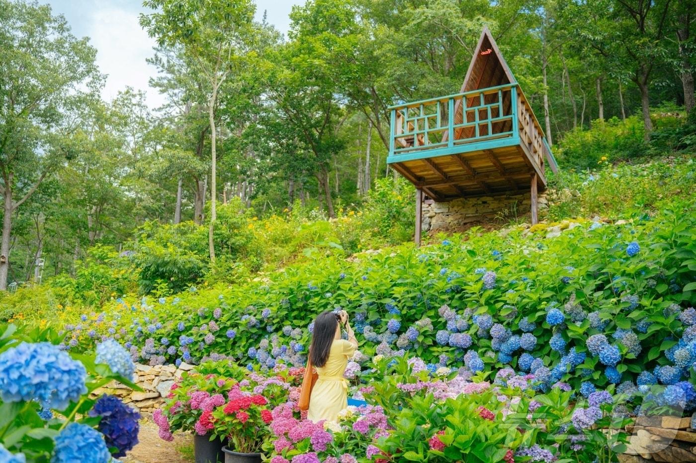 해남 포레스트수목원 &#40;해남군 제공. 재판매 및 DB금지&#41; /뉴스1 