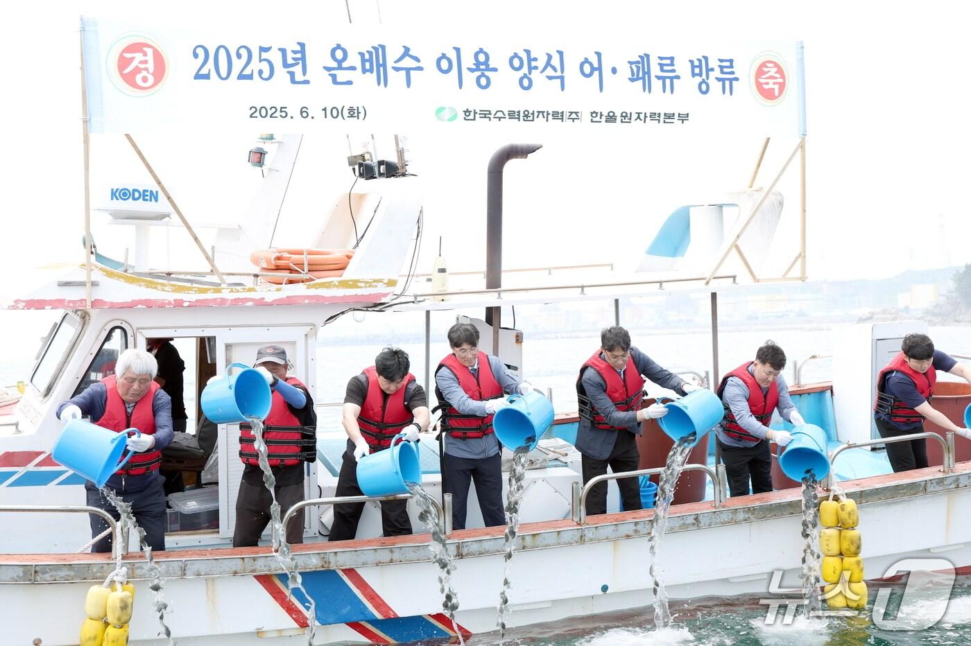 10일 한국수력원자력&#40;주&#41; 한울원자력본부가 경북 울진군 석호항에 원전 온배수로 키운 어패류를 방류하고 있다. &#40;한울원자력본부제공, 제판매 및 DB금지&#41; 2025.6.10/뉴스1