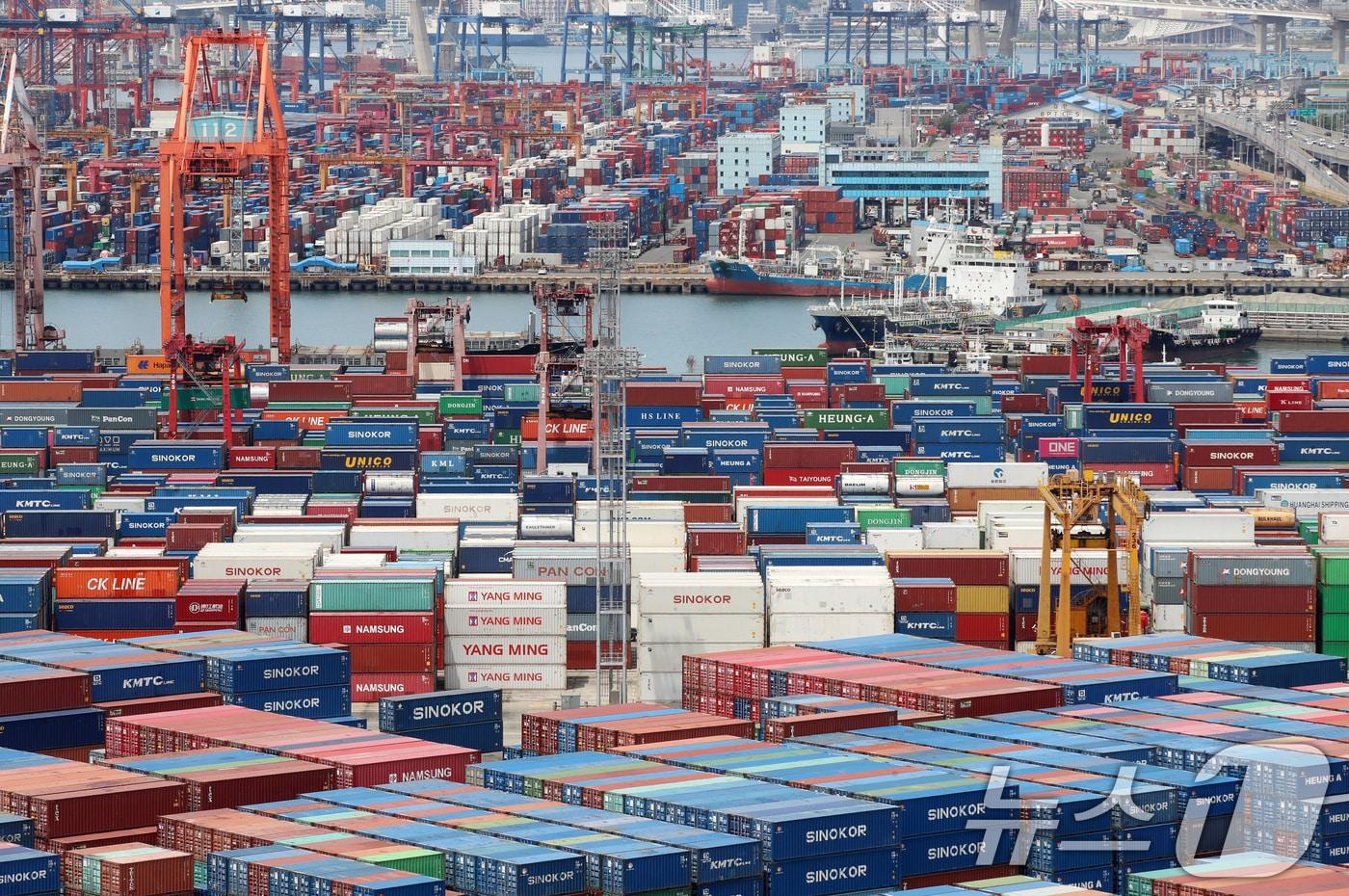 부산항 신선대부두와 감만부두 야적장.  2025.6.11/뉴스1 ⓒ News1 윤일지 기자