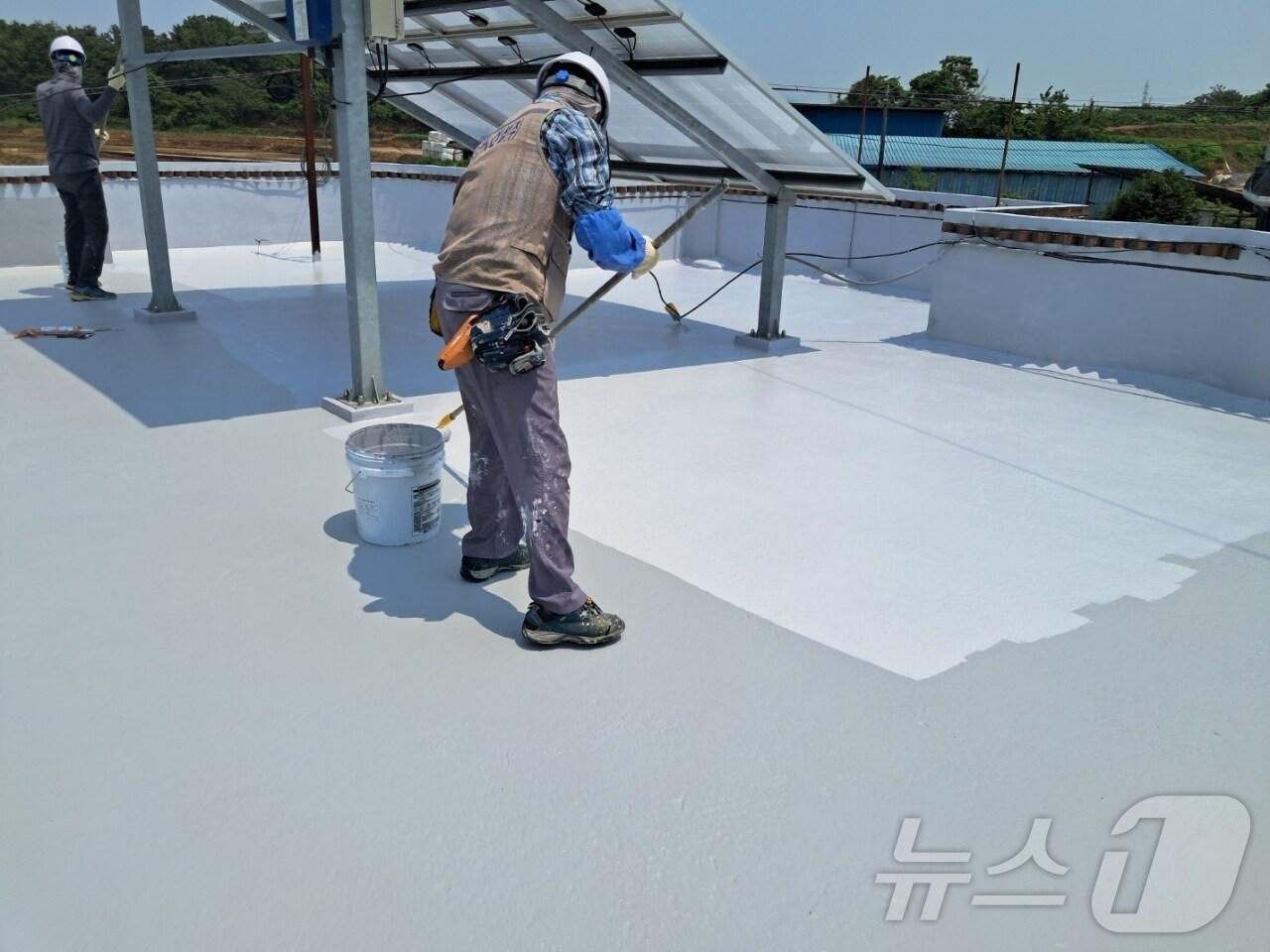 본문 이미지 - 태양광 반사율이 높은 차열 페인트를 건물 지붕에 도포하는 모습.(나주시 제공, 재배포 및 DB 금지)2025.6.11/뉴스1
