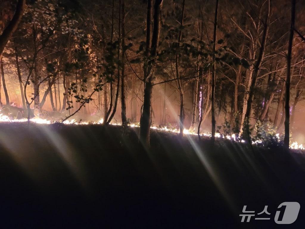 본문 이미지 - 11일 오후 9시23분쯤 경북 포항시 북구 흥해읍 칠포리 곤륜산 정상 부근에서 원인을 알 수 없는 불이 났다. (독자제공, 제판메 및 DB금지) 2025.6.11/뉴스1 