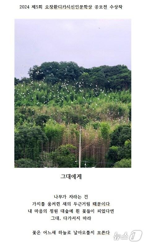 본문 이미지 - 5회 오장환디카시 신인문학상 수상작인 김성환씨의 디카시 &#39;그대에게&#39; &#40;보은군 제공. 재판매 및 DB금지&#41;/뉴스1 