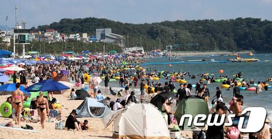 본문 이미지 - 보령 대천해수욕장. / 뉴스1 