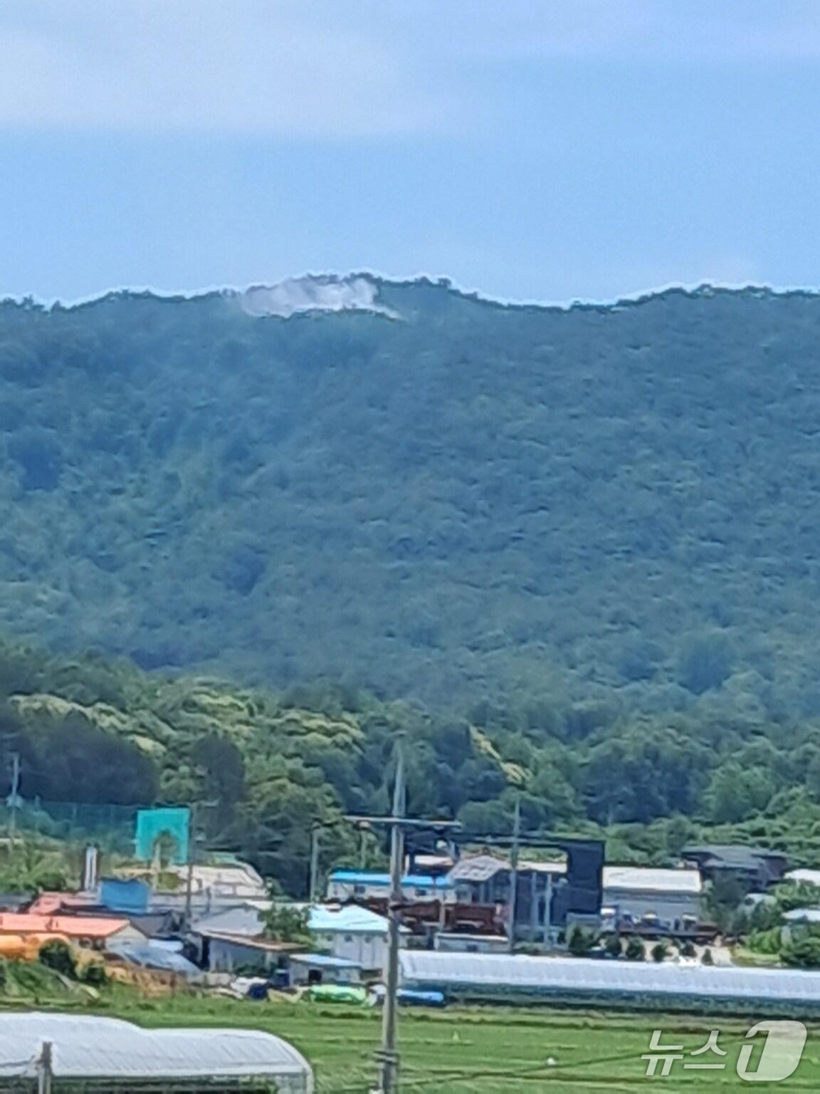 본문 이미지 - 보령시 주포면 연지리에서 산불이 발생했다.(산림청 제공 ,재판매 및 DB 금지)/뉴스1