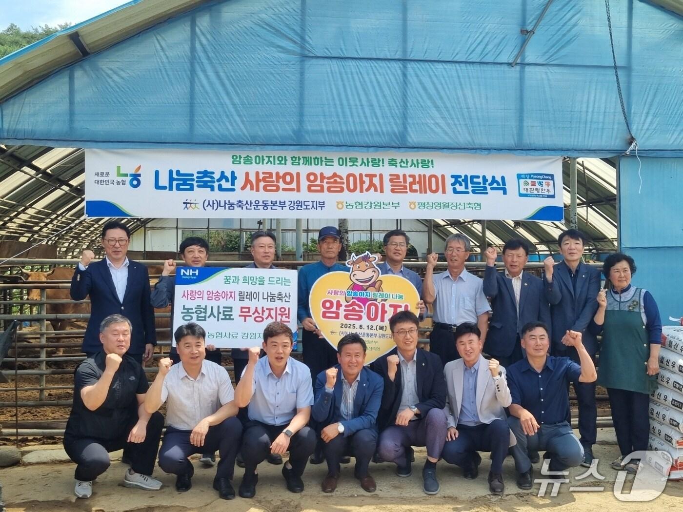 본문 이미지 - 사랑의 암송아지 릴레이 전달식.&#40;농협 강원본부 제공. 재판매 및 DB금지&#41;/뉴스1