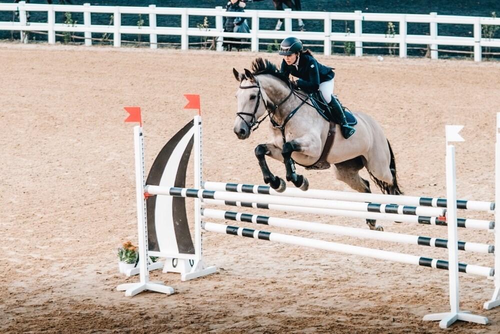 본문 이미지 - 수출에 성공한 승용마 한화루카랜드(한국마사회 제공)