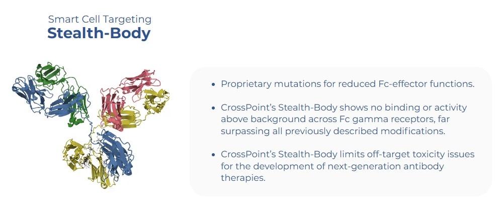 본문 이미지 - 크로스포인트테라퓨틱스가 보유한 '스텔스바디' 플랫폼 기술 모식도.(크로스포인트테라퓨틱스 제공)/뉴스1