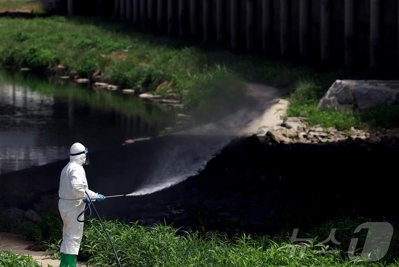 13일 광주 북구 임동 기아챔피언스필드 앞 서방천에서 북구보건소 감염병관리팀 직원들이 모기 등 감염병 예방을 위한 방역을 하고 있다. &#40;광주 북구 제공. 재판매 및 DB 금지&#41; &#40;사진은 기사 내용과 무관함&#41; 2025.6.13/뉴스1 ⓒ News1 이승현 기자