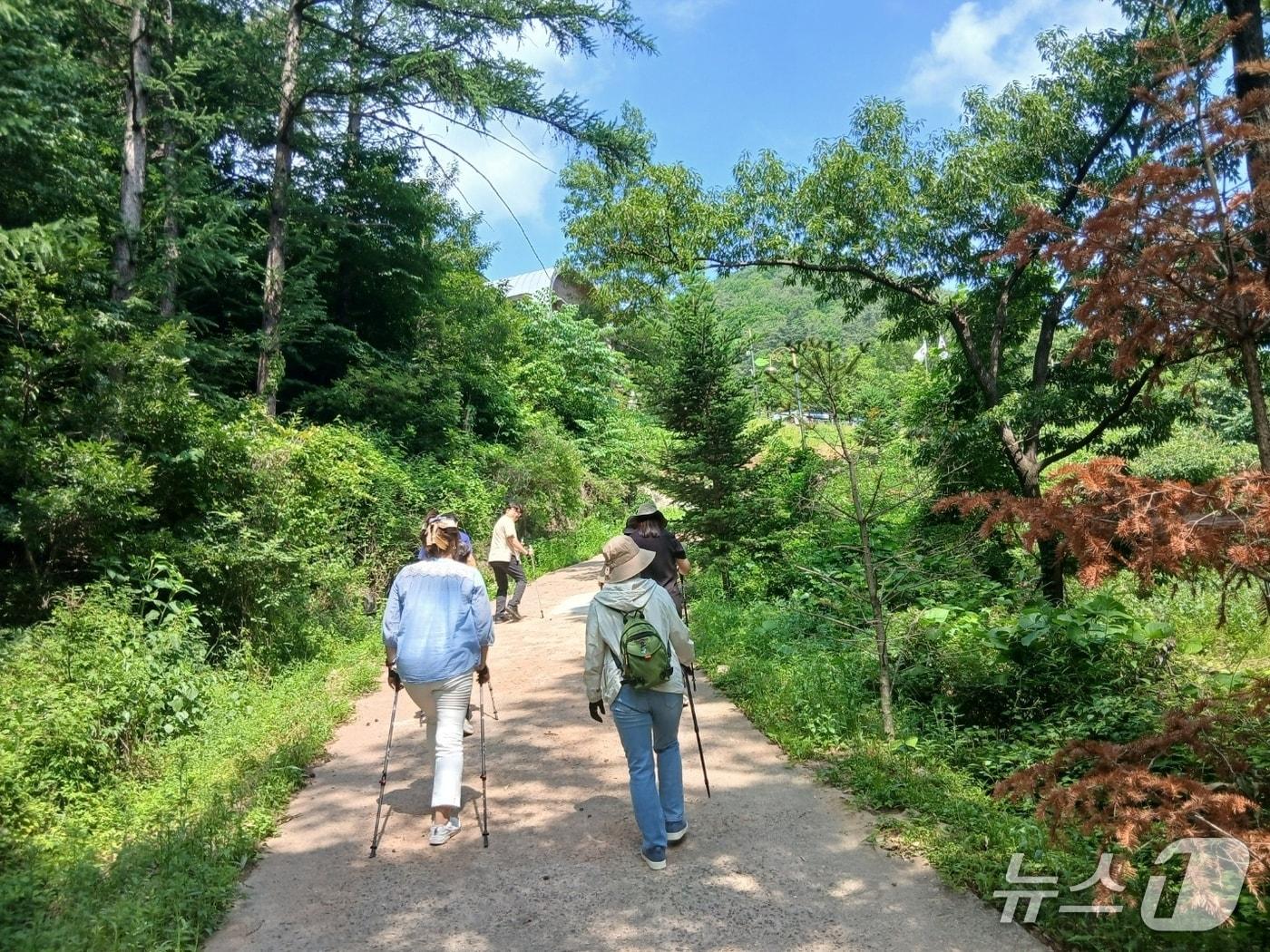 본문 이미지 - 건강생활실천지원금제 연계 노르딕워킹 산림치유 프로그램 운영사진. (산림청 한국산림복지진흥원 제공.재판매 및 DB금지)/뉴스1 