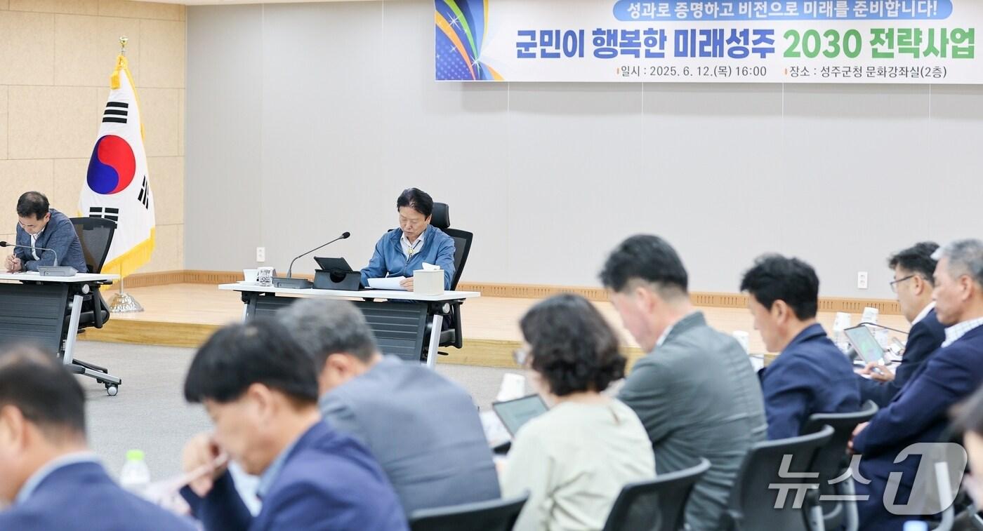 성주군 2030 전략과제 보고회 모습 &#40;성주군 제공. 재판매 및 DB금지&#41;/뉴스1
