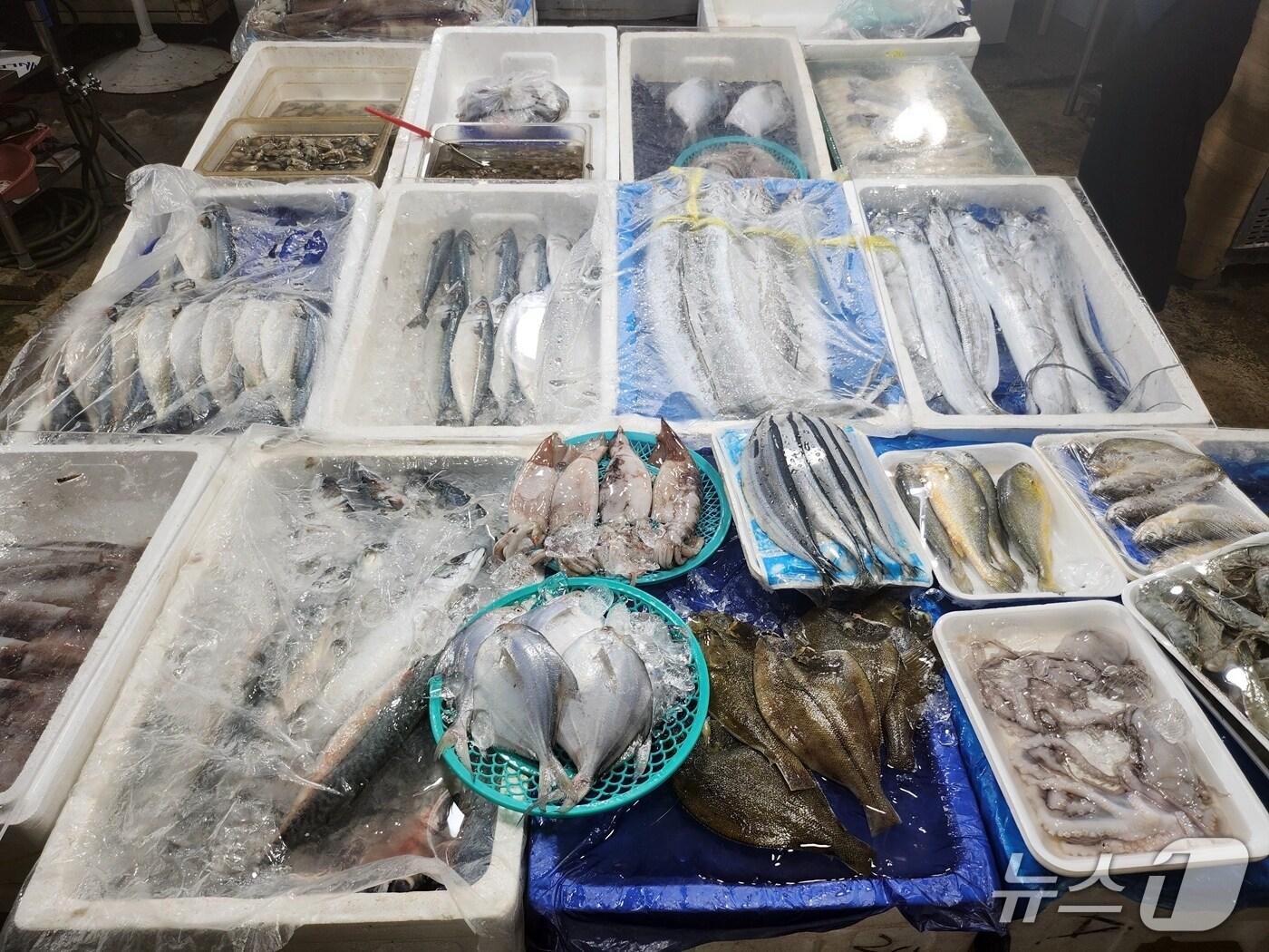 본문 이미지 -  정읍시가 여름 휴가철을 앞두고 수입 수산물에 대한 원산지 표시 특별점검에 나선다. 사진은 기사와 관계없는 자료사진(정읍시 제공, 재판매 및 DB금지)