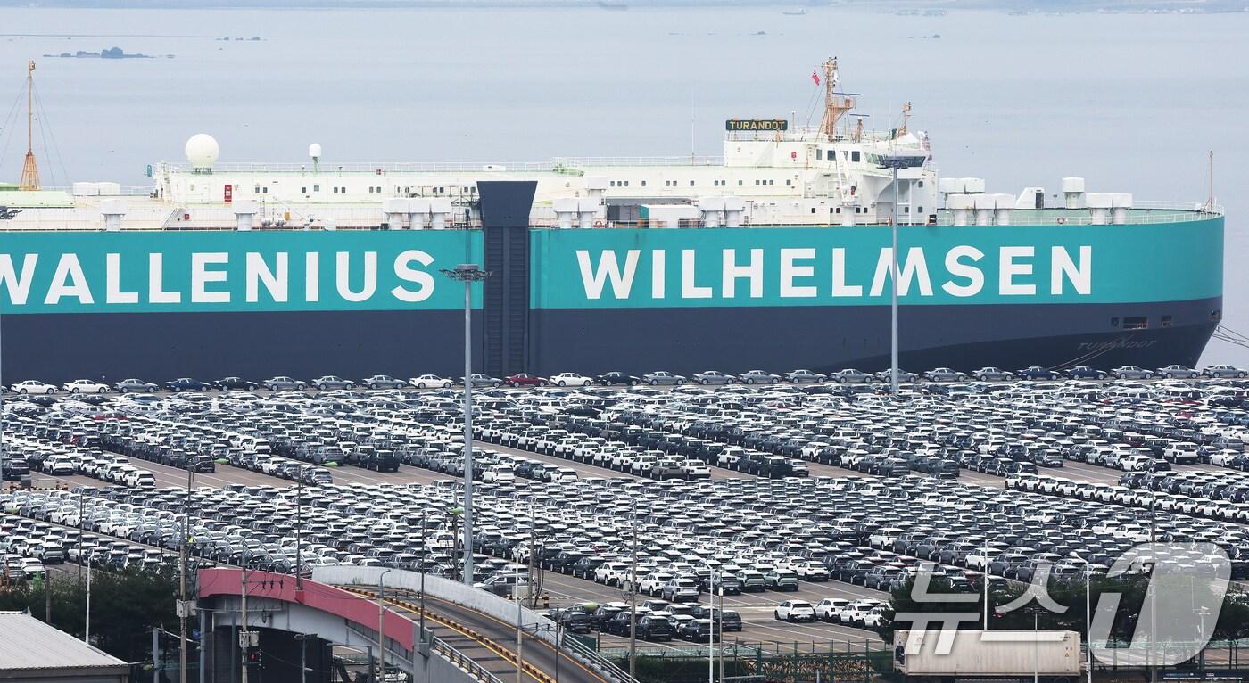 13일 경기 평택시 포승읍 평택항 자동차전용부두에 수출용 차량들이 세워져 있다. 2025.6.13/뉴스1 ⓒ News1 장수영 기자