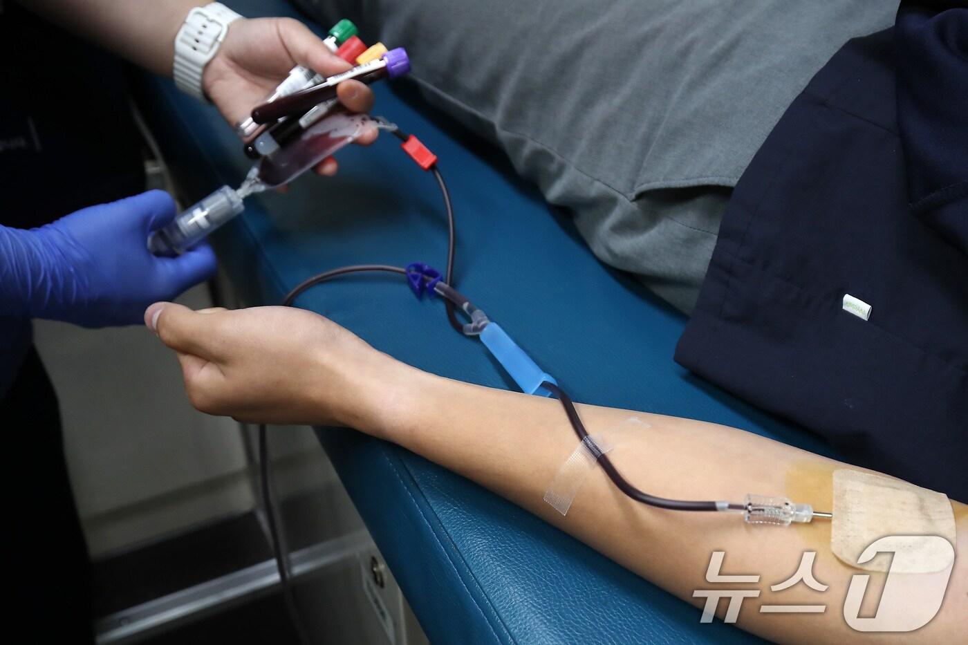 세계 헌혈자의 날을 하루 앞둔 13일 대구 달성군 현풍고등학교 학생들이 학교를 방문한 대한적십자사 대구경북혈액원 헌혈버스에서 헌혈에 동참하고 있다. 2025.6.13/뉴스1 ⓒ News1 공정식 기자