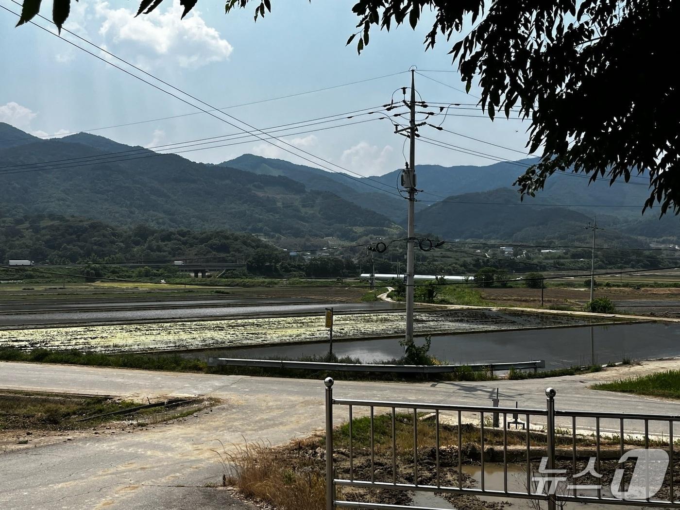 본문 이미지 - 곡성군 석곡면 당지마을 앞 농경지 전경 