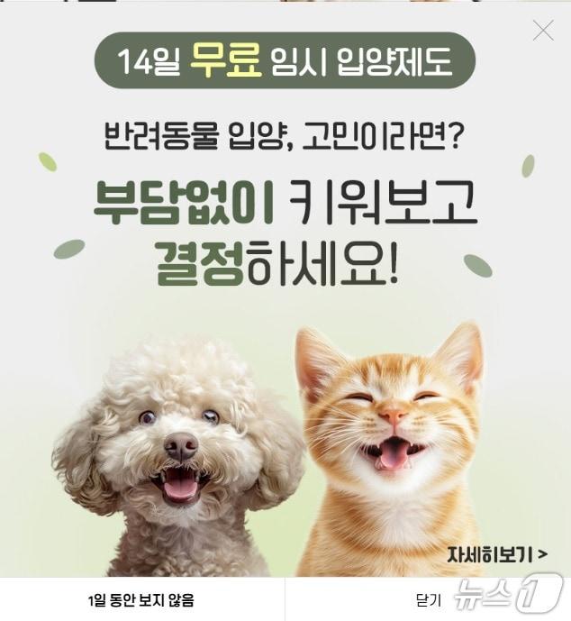 본문 이미지 - 한 동물 분양 업체가 자사 홈페이지에 올린 '14일 무료 임시 입양제도' 홍보 베너 갈무리
