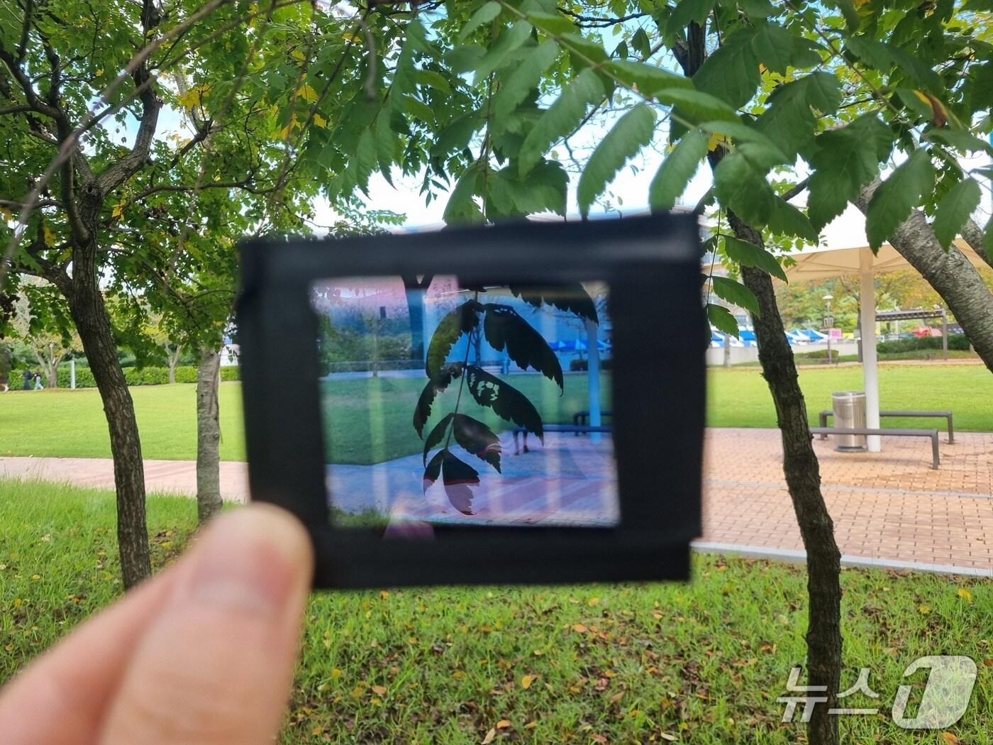 본문 이미지 - 개발된 반투명 태양전지 모듈. (UNIST 제공. 재판매 및 DB 금지) /뉴스1