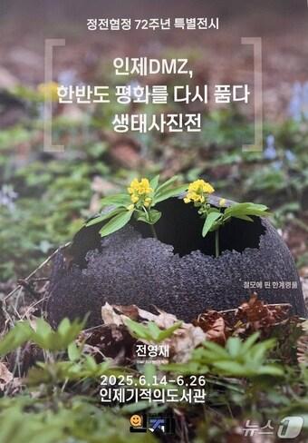 본문 이미지 - 인제 DMZ 생태 사진전.&#40;인제군 제공. 재판매 및 DB금지&#41;/뉴스1