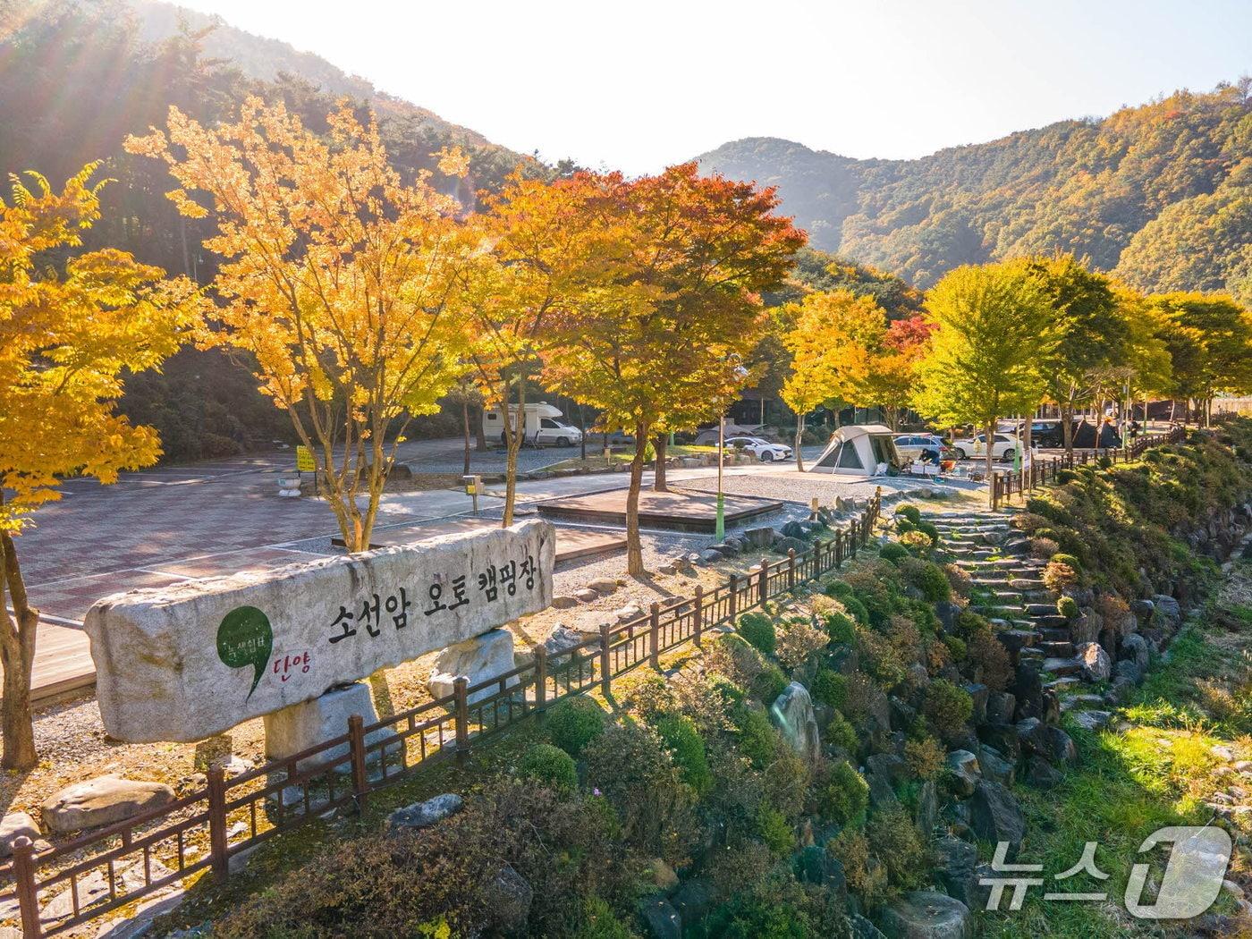 본문 이미지 - 단양 소선암오토캠핑장.(단양군 제공. 재판매 및 DB금지) /뉴스1 