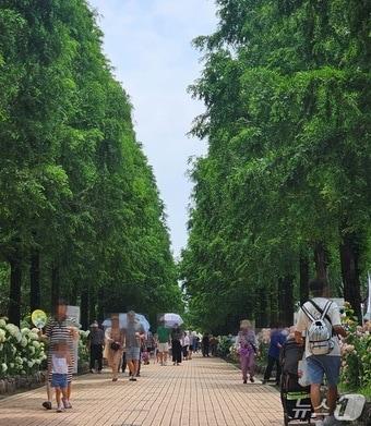 본문 이미지 - 진주 &#39;2025 대한민국 정원산업박람회&#39; 행사장인 초전공원. 2025.6.15/뉴스1 한송학기자