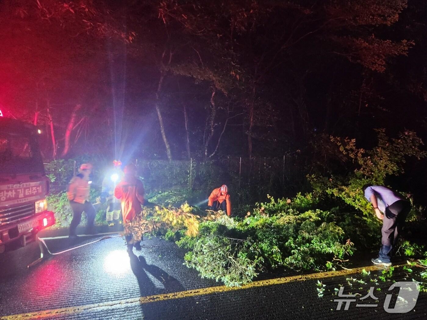 본문 이미지 - 지난 15일 밤 제주 서귀포시 남원읍 신례리에서 강한 비로 인해 나무가 쓰러져 소방당국이 안전조치를 하고 있다.(제주도소방안전본부 제공. 재판매 및 DB 금지)