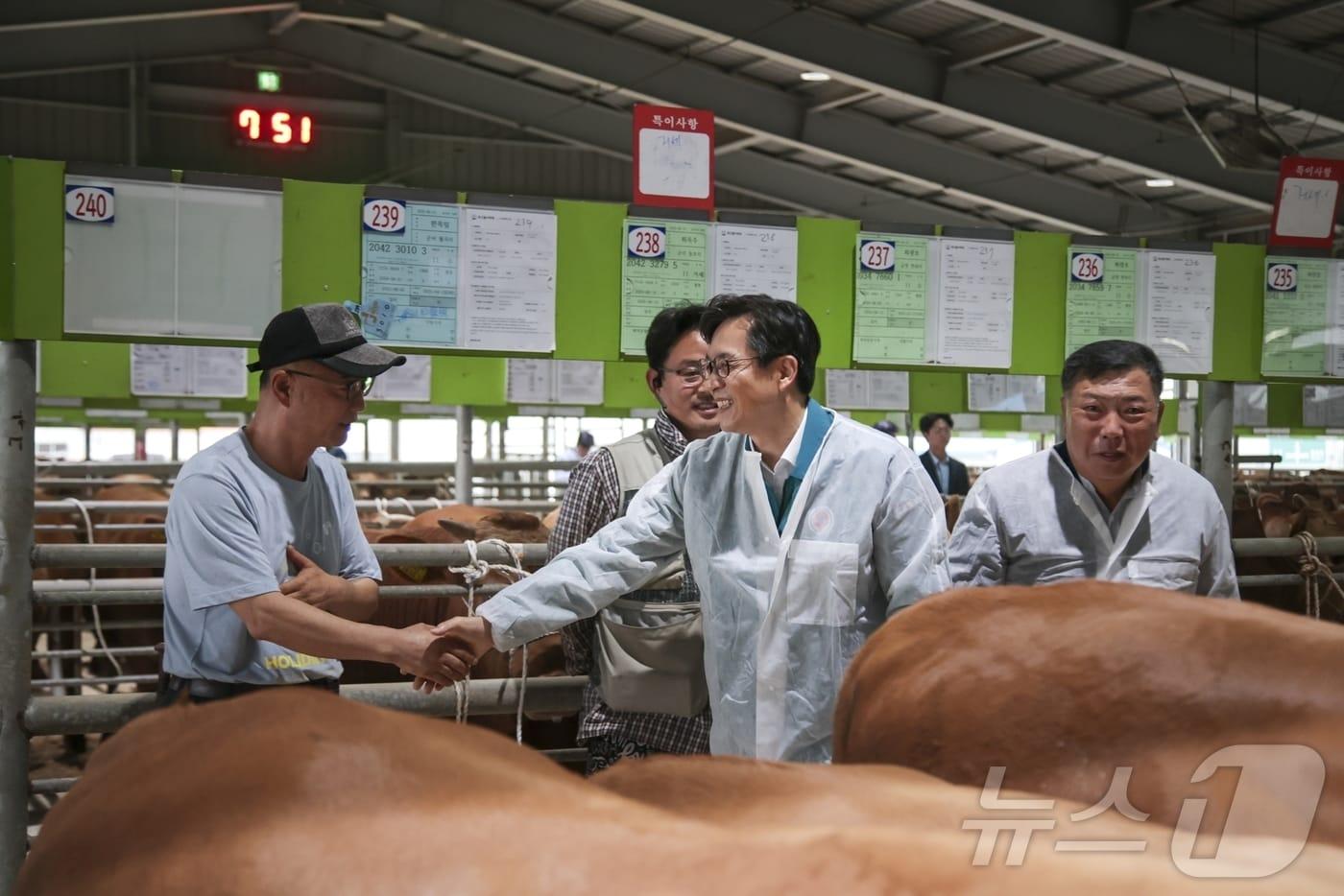 16일 영암 도포면 영암축협가축경매시장 &#40;영암군 제공. 재판매 및 DB금지&#41; /뉴스1 
