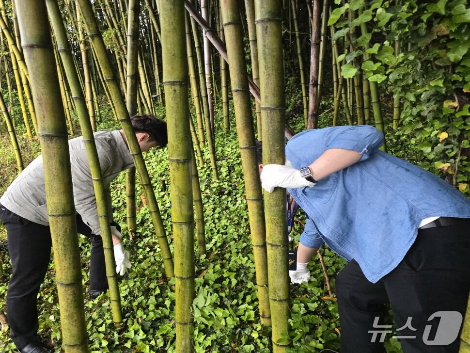 본문 이미지 - 완도해경이 지난 5월 1일 전남 장흥군 일대 야산에서 마약사범이 은닉한 마약 증거물을 찾기 위해 수색하고 있다.(완도해경 제공. 재판매 및 DB 금지)