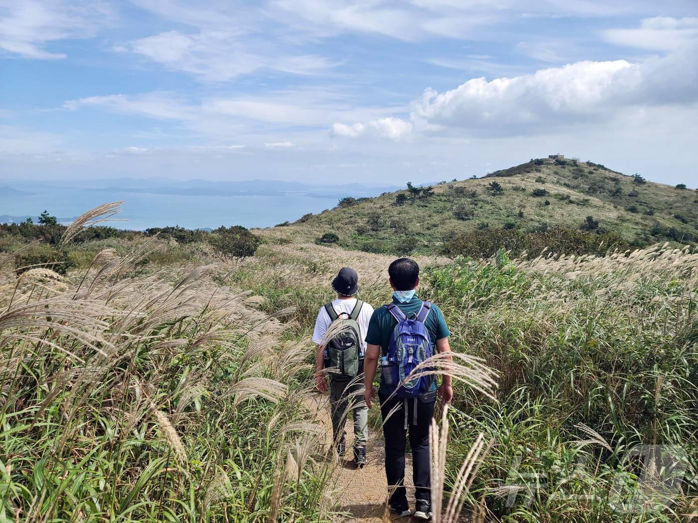 본문 이미지 - 장흥 천관산.&#40;장흥군 제공, 재배포 및 DB 금지&#41; /뉴스1