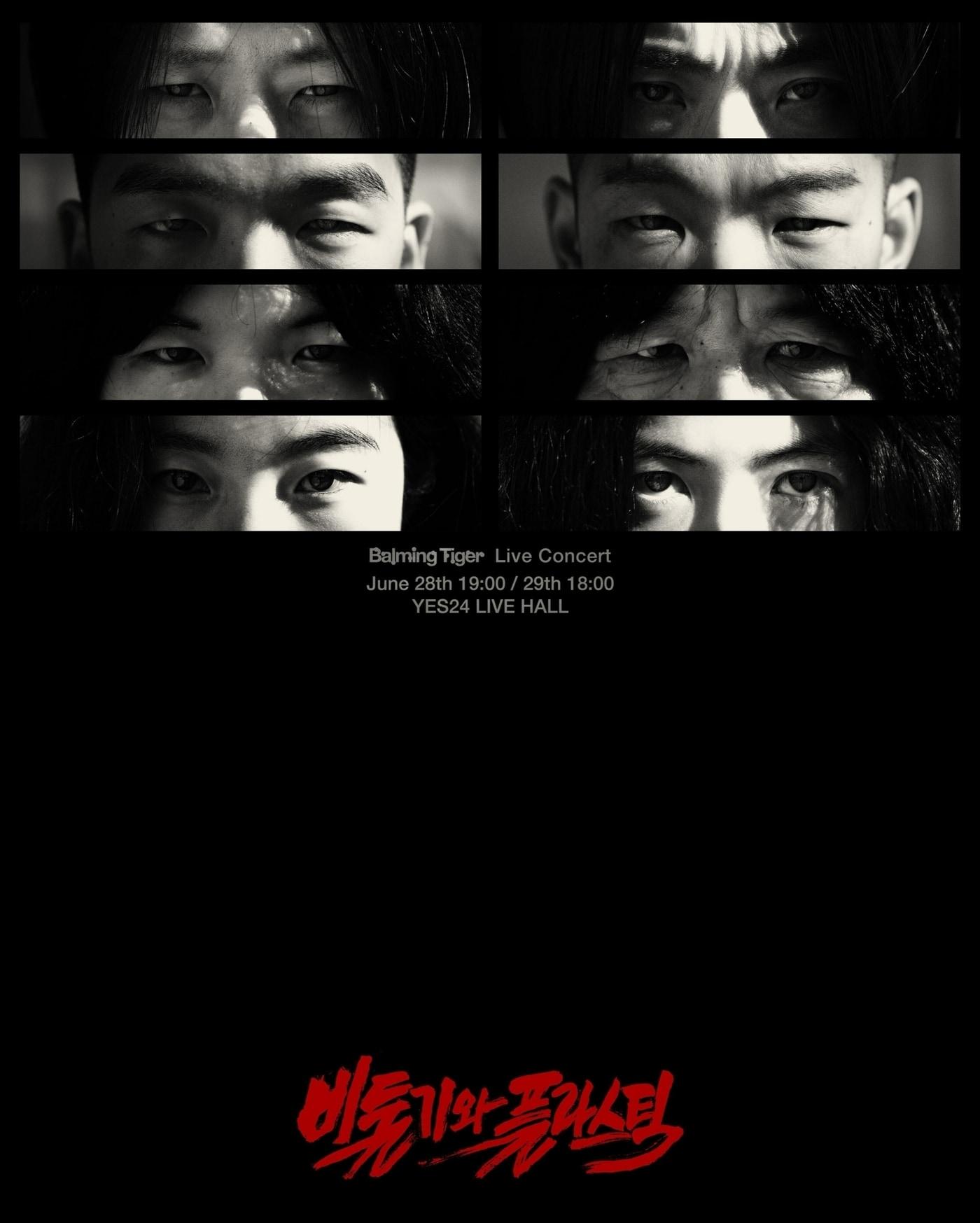 본문 이미지 - 사진제공=바밍타이거, CAM