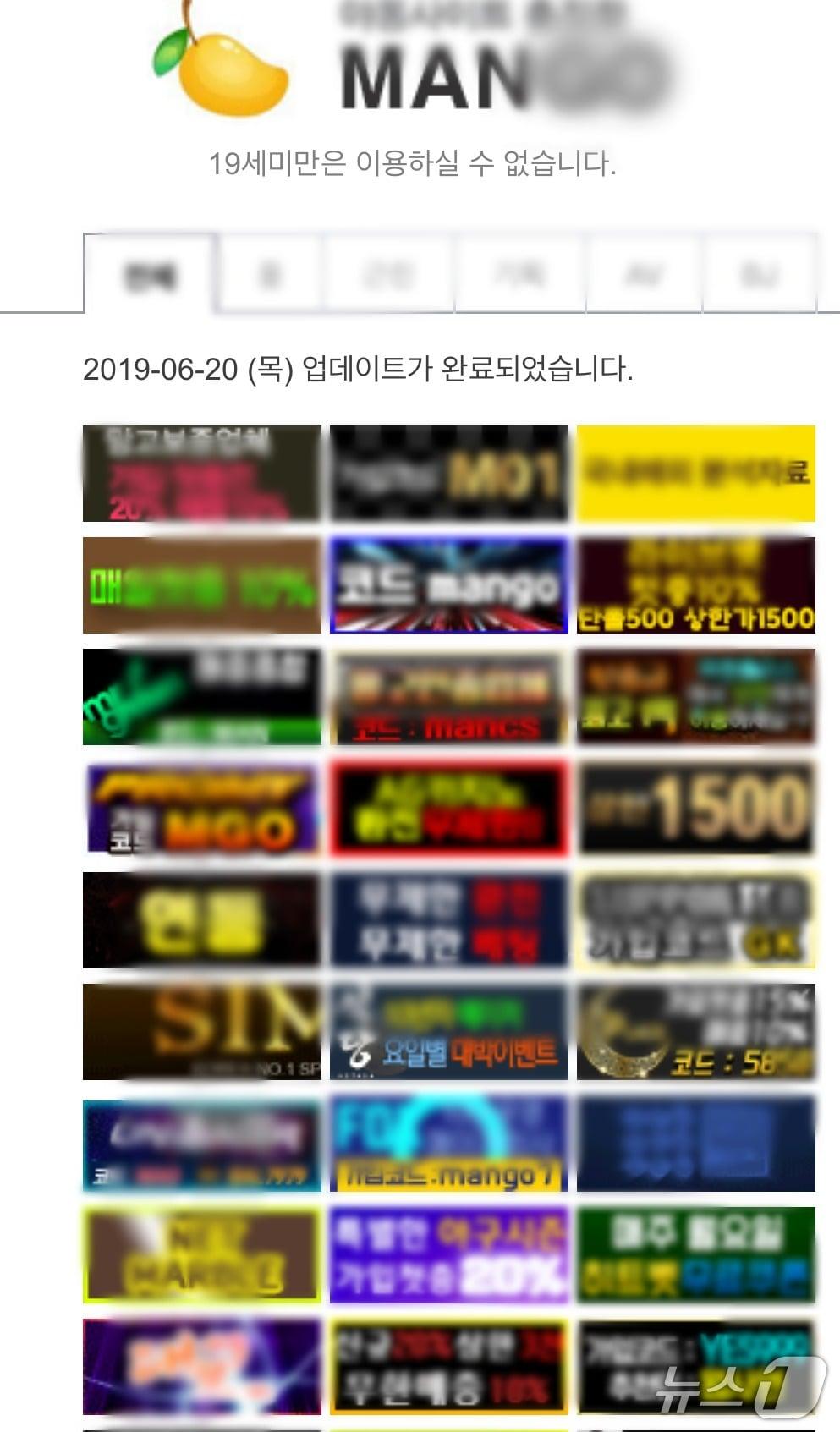 본문 이미지 - 불법성영상물 유포 사이트(대전경찰청 제공) /뉴스1