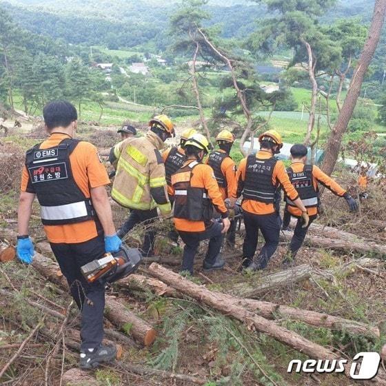 본문 이미지 - 2023년 7월 29일 발생한 강원 원주시 귀래면 벌목현장 사고 자료 사진.&#40;재판매 및 DB금지&#41;/뉴스1