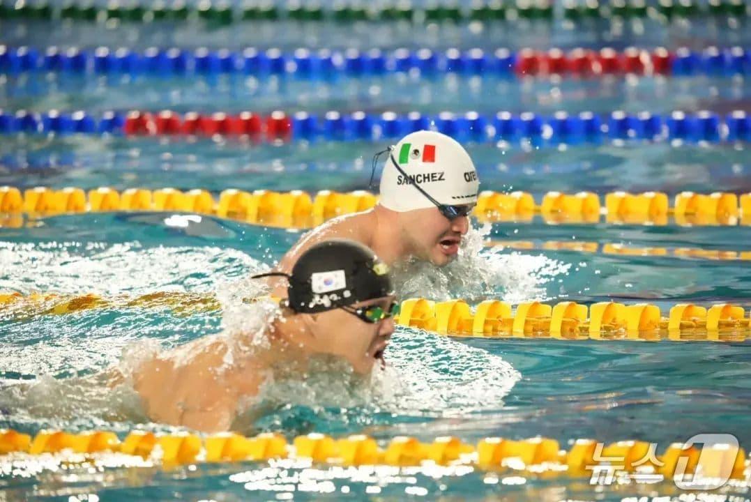 본문 이미지 - 용인시 장애인수영팀 조기성 선수가 금빛 메달을 향한 역영을 하고 있는 모습.&#40;용인시 제공&#41;