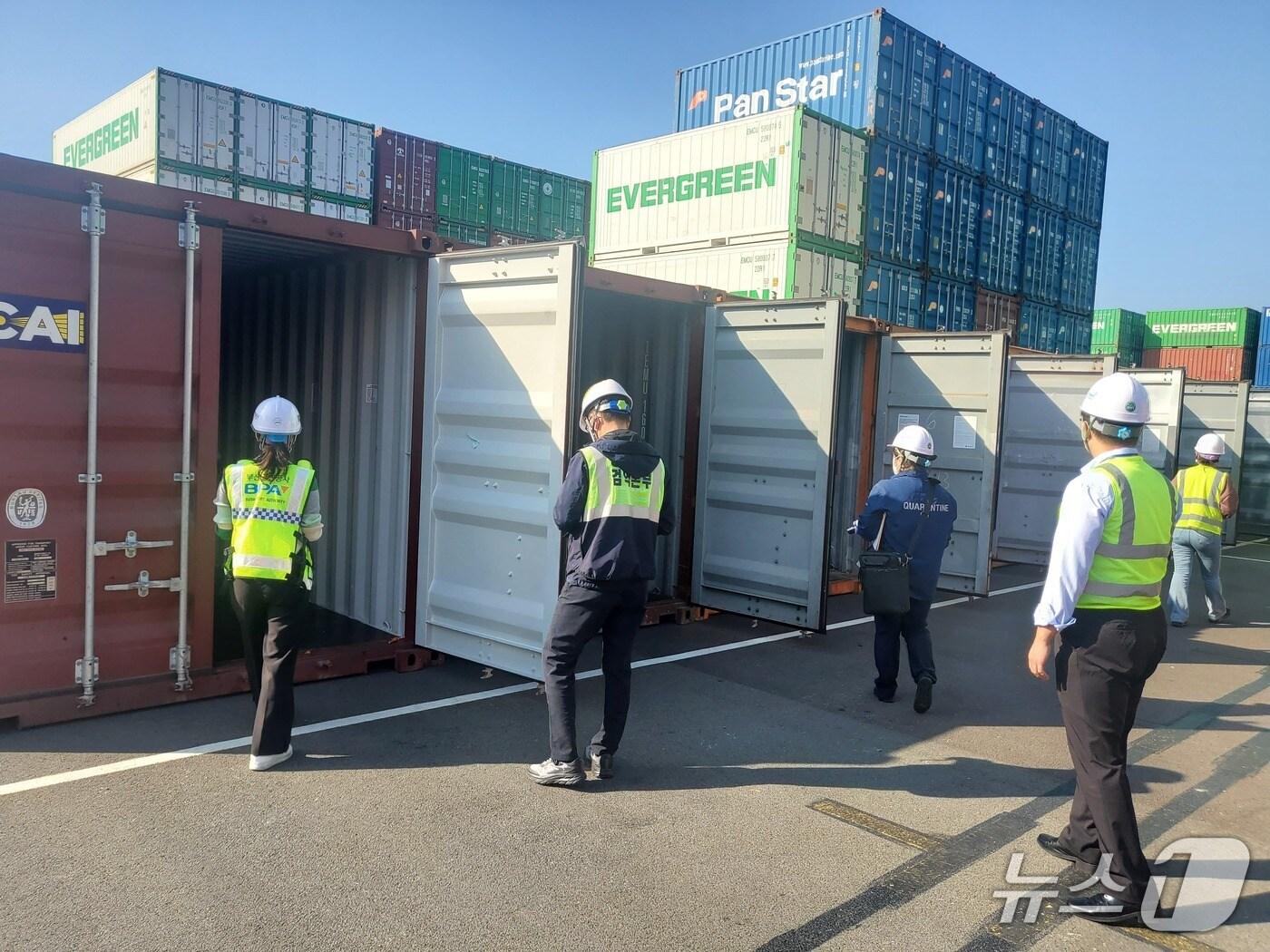 본문 이미지 - 부산해수청과 등 기관 관계자들이 부산항에서 공컨테이너 실태조사를 하고 있다.(부산해수청 제공. 재판매 및 DB 금지)