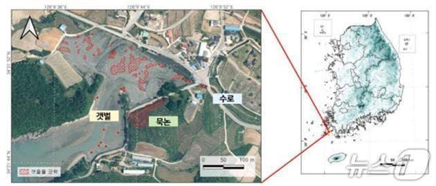 본문 이미지 - 진도지역 갯줄풀 분포 현황.(영산강유역환경청 제공. 재판매 및 DB 금지)