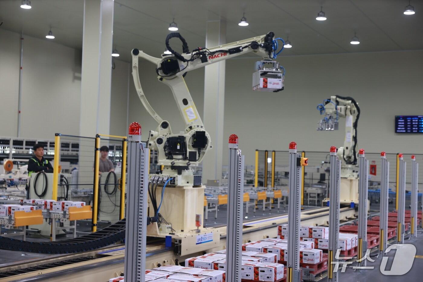 강원 영월군이 17일 지역농협인 한반도농협에 전국 최초 로봇기반 자동화시스템을 갖춘 스마트 농산물산지유통센터&#40;APC&#41;를 구축했다. &#40;영월군 제공. 재판매 및 DB금지&#41; 2025.6.17/뉴스1