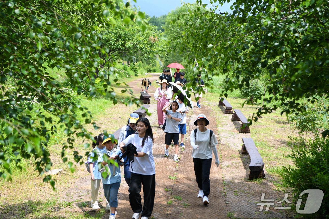 양구 해안면민 건강 걷기 행사.(양구군 제공. 재판매 및 DB금지)/뉴스1