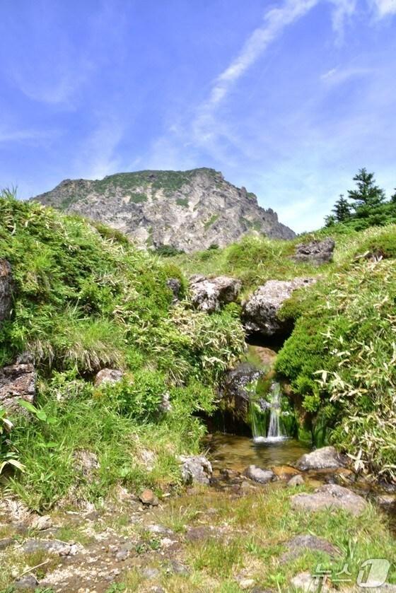 본문 이미지 - 한라산국립공원 해발 1660m에 위치한 백록샘(제주도 제공. 재판매 및 DB금지)/뉴스1