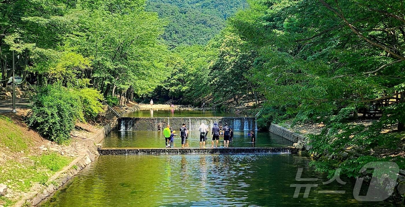 22일 충북과 세종은 맑고 낮 기온이 30도까지 오르겠다.(자료사진)/뉴스1 ⓒ News1 유경석 기자