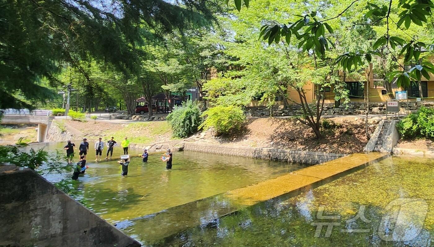 연일 무더운 날씨가 이어지고 있는 18일 전북 완주군 고산자연휴양림을 찾은 피서객들이 물놀이를 즐기며 더위를 식히고 있다. ⓒ News1 유경석 기자